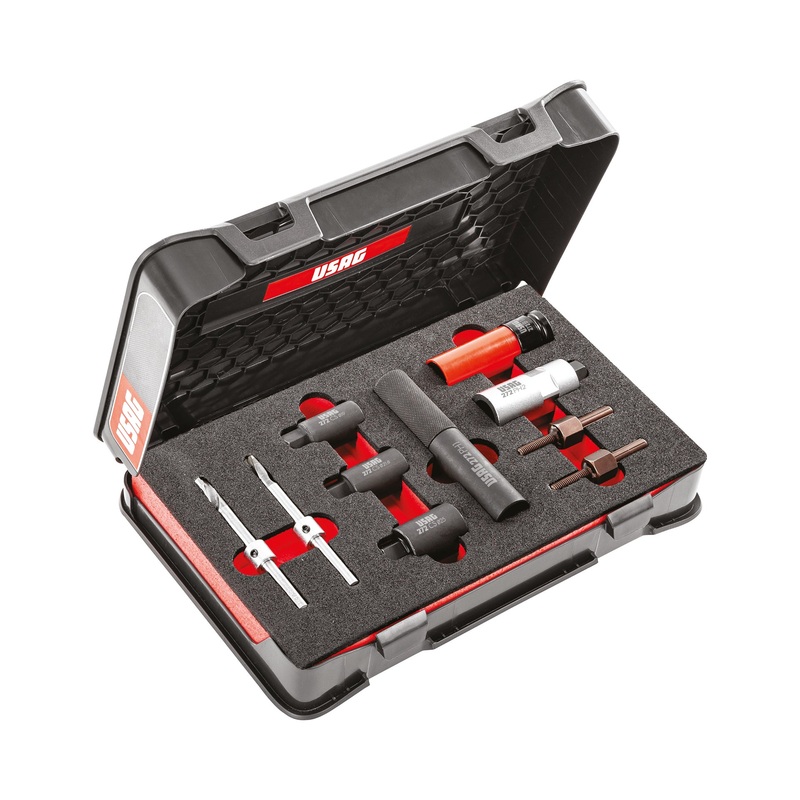 272 DS - universal kit for removing anti-theft nuts and screws (10 pcs) - Usag - U02720001