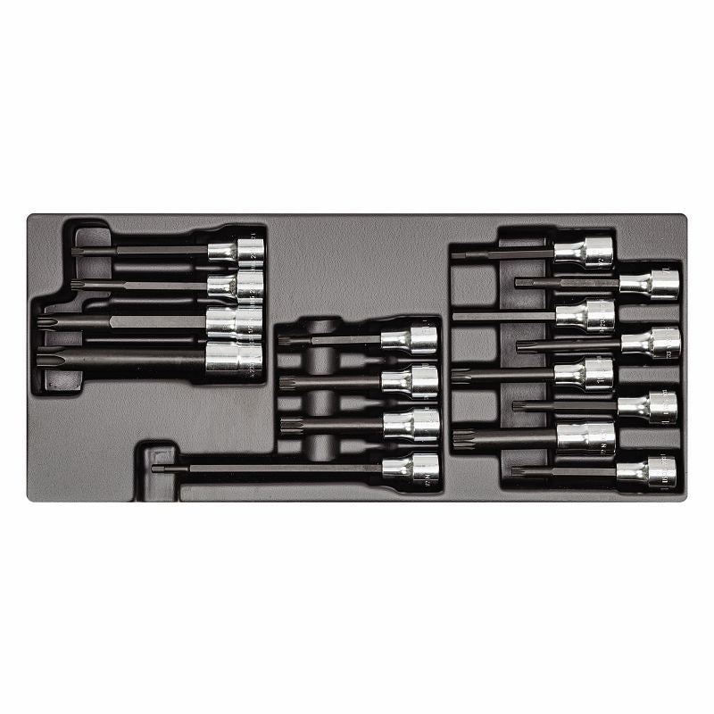 Assorted thermoformed module (16 pcs) | 519/233A | Usag - U05190820