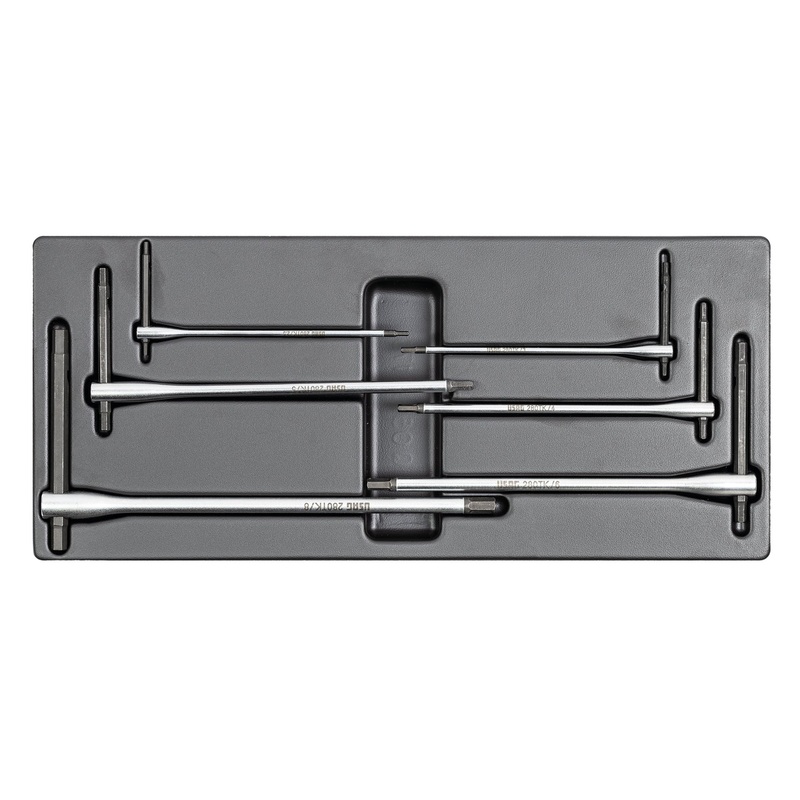 Assorted thermoformed module (6 pcs) | 519/280TK | Usag - U05190787