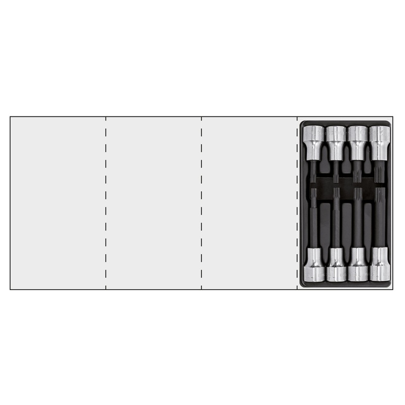 Assorted thermoformed module (8 pcs) | 519/233CNXZN8 | Usag - U05190703