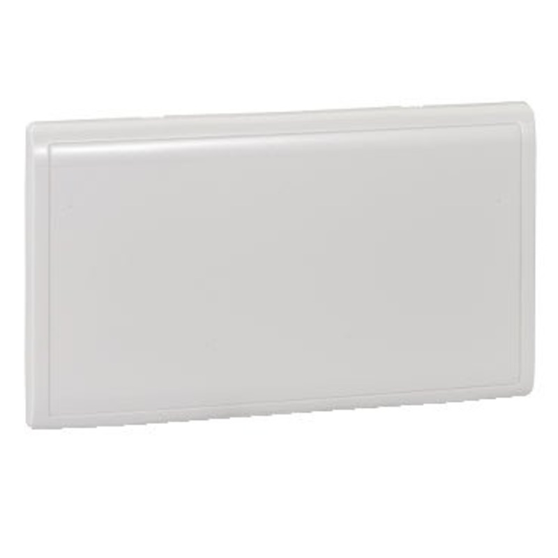 2Gang Blank Plate