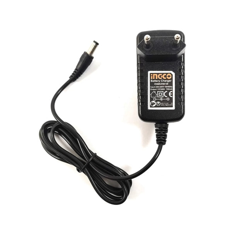 220V Charger