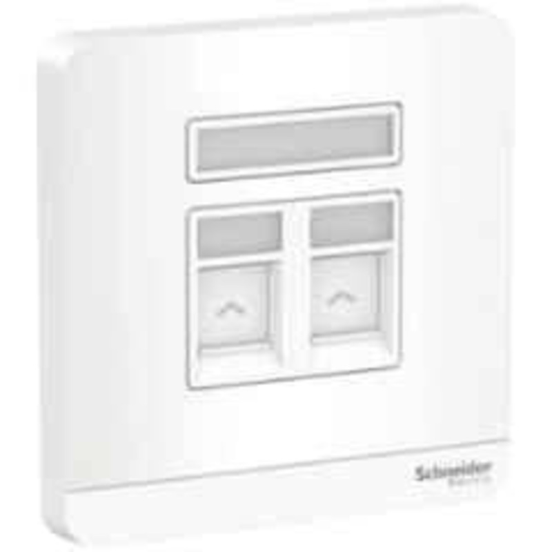 Schneider AvatarOn White Data Socket