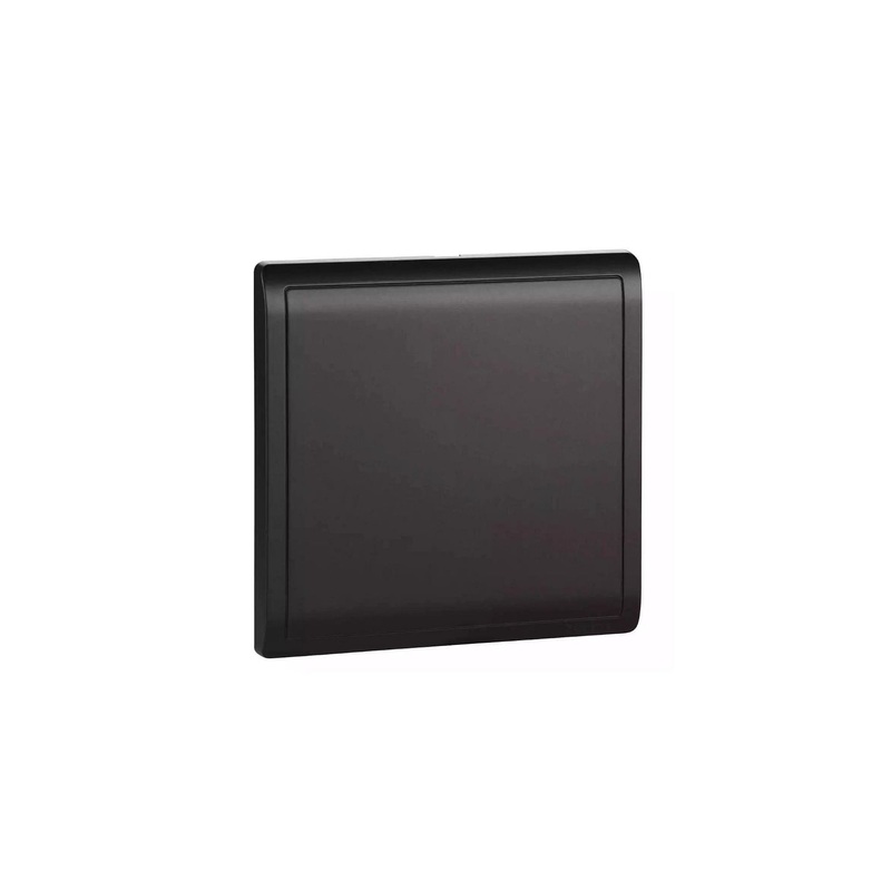 Schneider Pieno Matt Black 1G Blank Plate