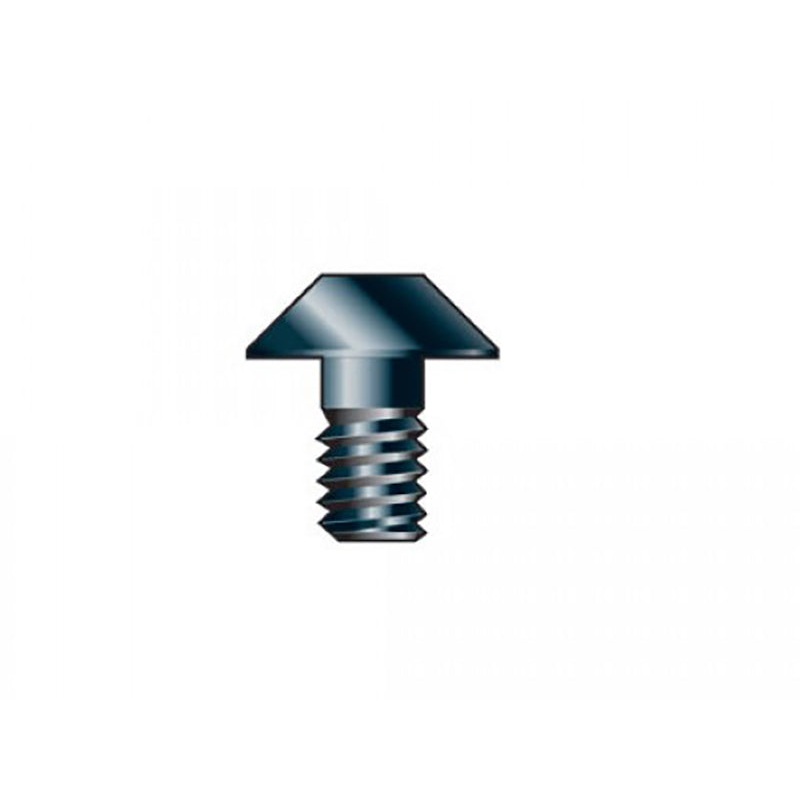 SP-46/02D Replacement TORX Screw
